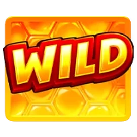 Wild symbol
